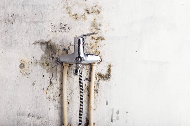 Best Mold Remediation  in Merrimac, VA