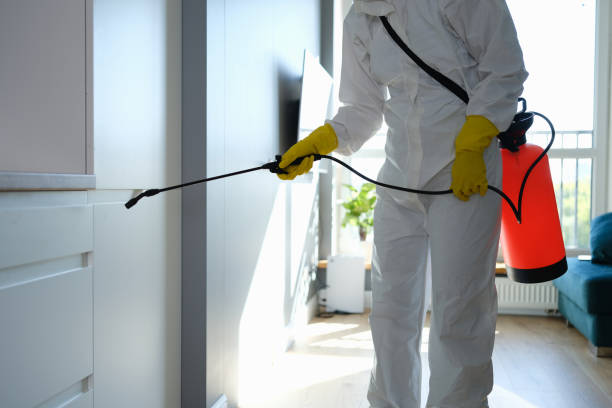 Best Commercial Mold Removal  in Merrimac, VA
