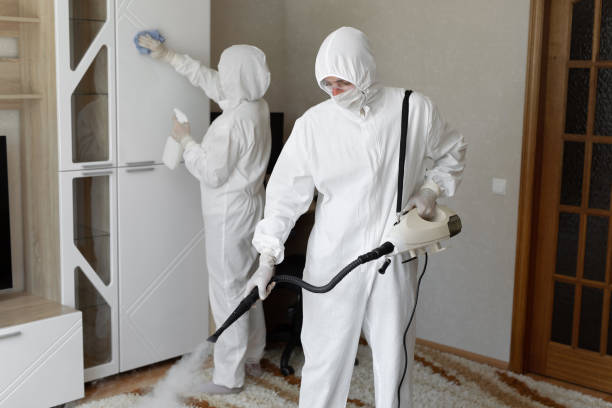Best Mold Damage Repair  in Merrimac, VA