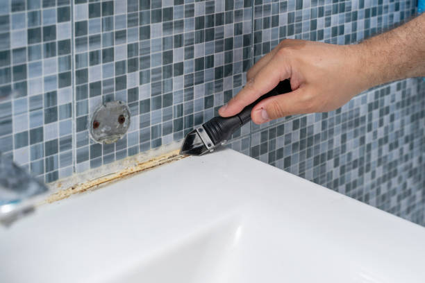 Merrimac, VA Mold Removal Company