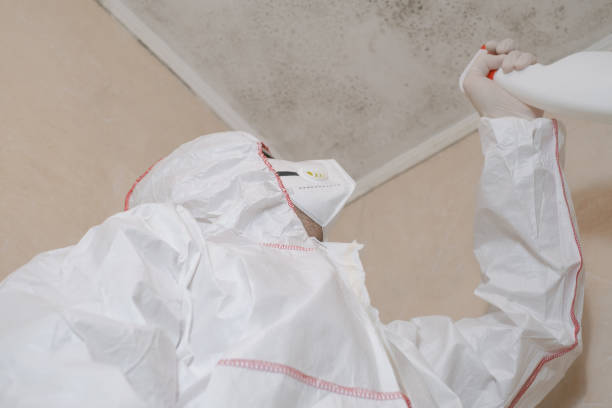 Best Mold Remediation  in Merrimac, VA