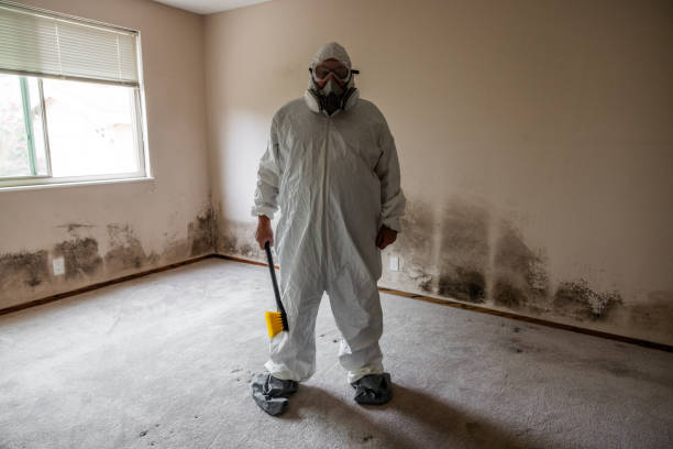 Mold Removal and Inspection in Merrimac, VA
