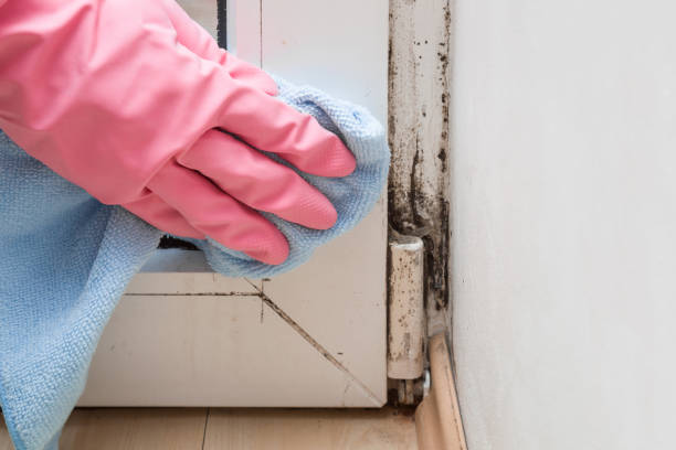 Best Mold Cleaning Services  in Merrimac, VA